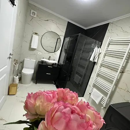 Apartament Bisera Timişoara Exterior foto